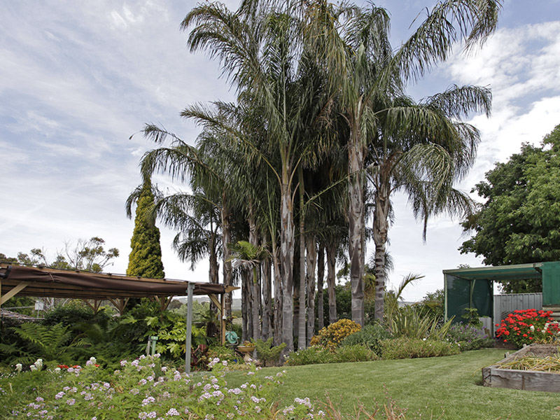 OPEN INSPECTION SUN 31ST JAN 11.45-12.30PM Picture 1