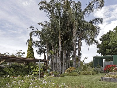 OPEN INSPECTION SUN 31ST JAN 11.45-12.30PM Picture OPEN INSPECTION SUN 31ST JAN 11.45-12.30PM Picture