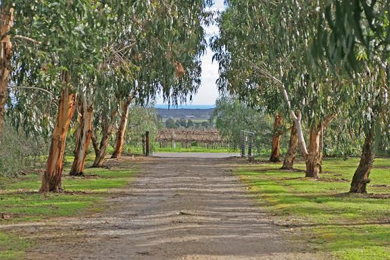 A Garden Oasis Picture 2