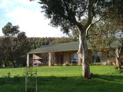 Onka View Ranch Picture Onka View Ranch Picture