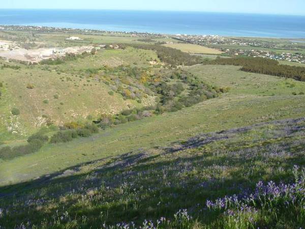 Glorious Coastal
Views and Serclusion Picture 1