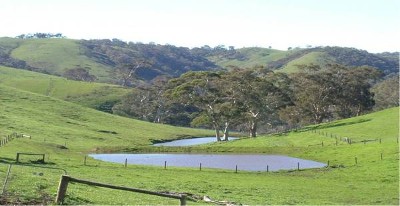 Big Gum Country Picture Big Gum Country Picture