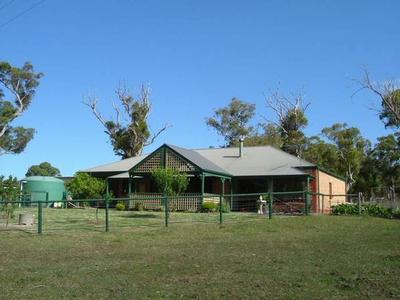 Windy Hollow Picture Windy Hollow Picture