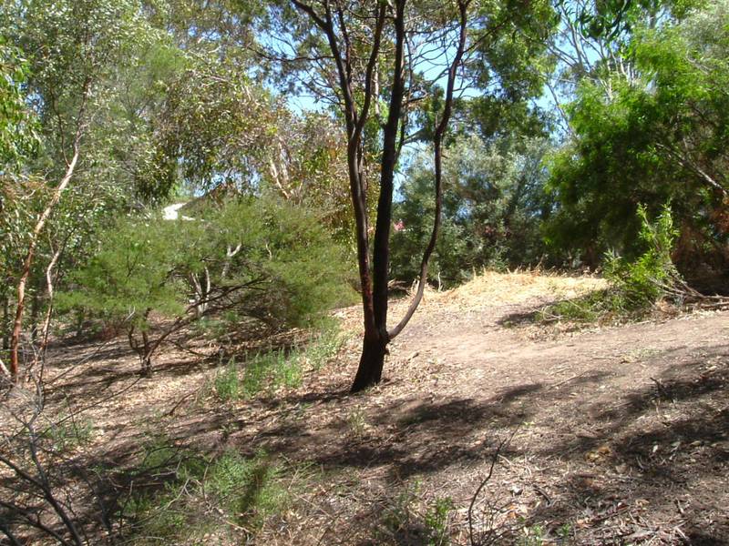 Exclusive ½ Acre Block !! Picture 2