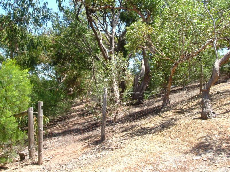 Exclusive ½ Acre Block !! Picture 3