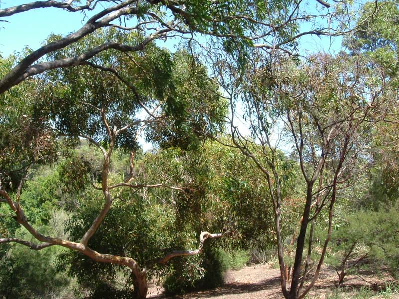 Exclusive ½ Acre Block !! Picture 1