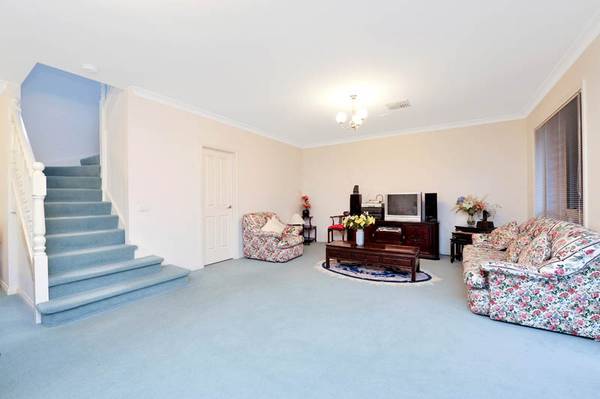 Eye Teaser, Purse Pleaser Picture