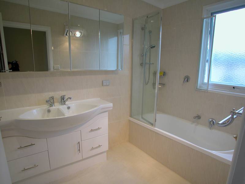 A beautiful tree lined street Picture 2