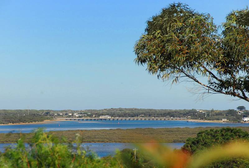 DRIFTWOOD BLUFF Picture 1