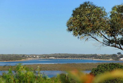 DRIFTWOOD BLUFF Picture