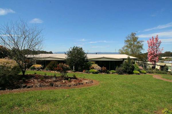 SOLD * SOLD * SOLD * Picture 1