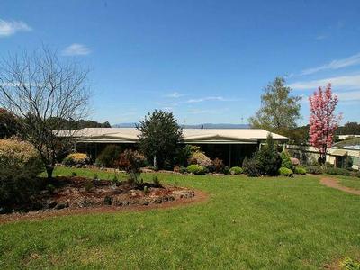 SOLD * SOLD * SOLD * Picture