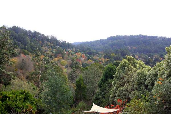 SOLD, SOLD, SOLD Picture 2