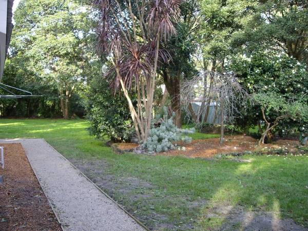 SOMETHING SPECIAL......."Magnolia Cottage Picture 3