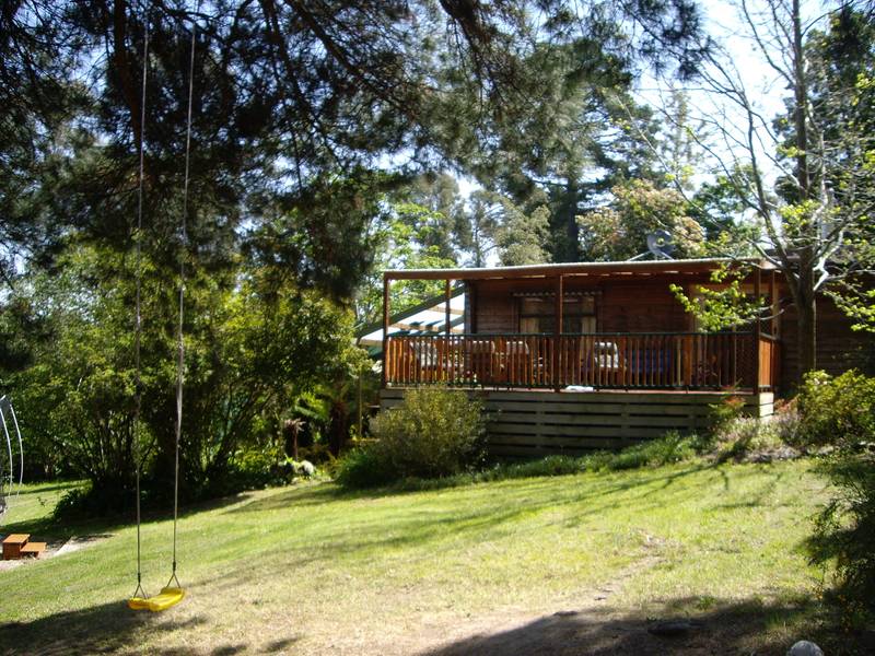 POTENTIAL PLUS Picture 1