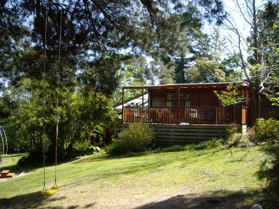 POTENTIAL PLUS Picture