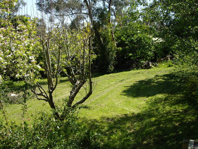 POTENTIAL PLUS Picture 3