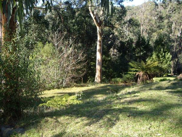 LAND YOURSELF A RARE OPPORTUNITY Picture 3