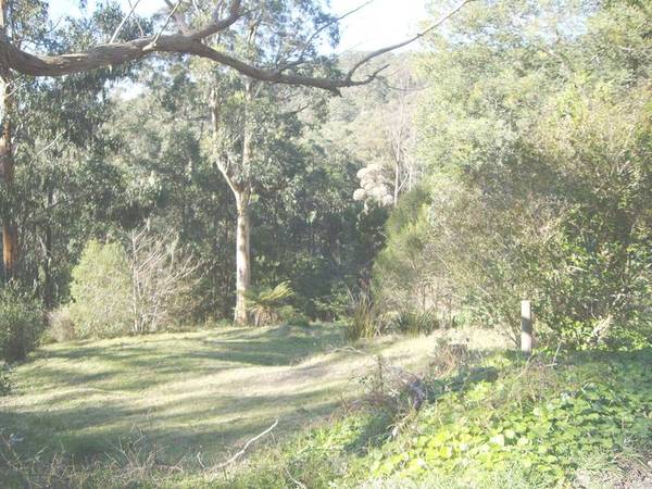 LAND YOURSELF A RARE OPPORTUNITY Picture 1