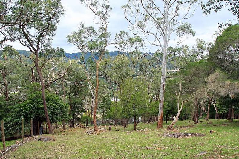 BUILD YOUR DREAM HOME! Picture 2