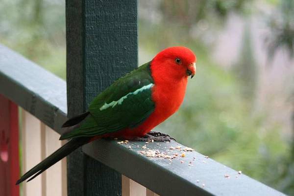 A FLATTERING FAMILY EQUATION Picture A FLATTERING FAMILY EQUATION Picture