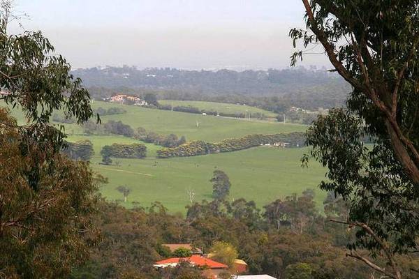 A FRESHER OPTION Picture