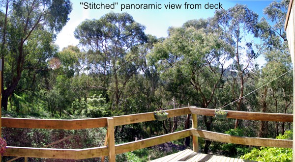 PEACEFULLY PERFECT - PERFECTLY PEACEFUL Picture