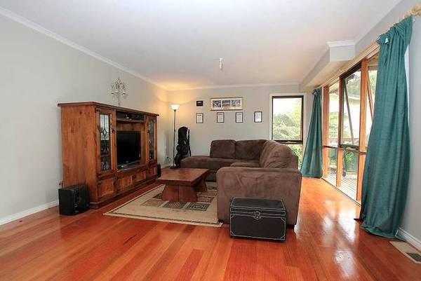 DISCOVER THIS GEM Picture 2