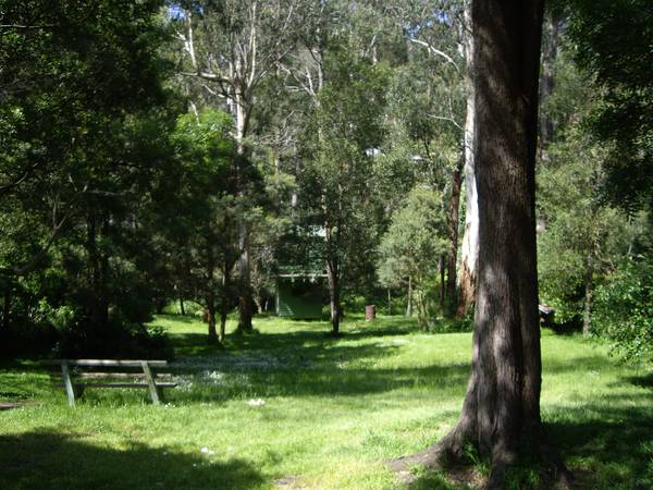 HILLS COTTAGE Picture 2