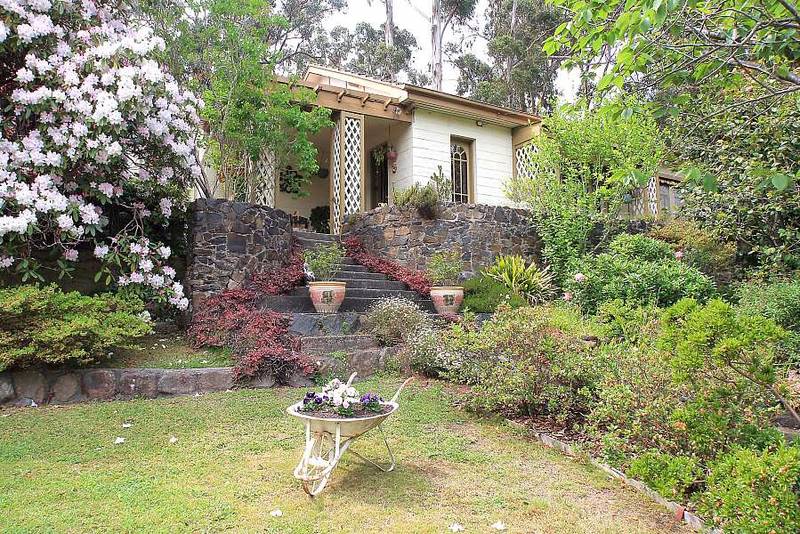 SEEING IS BELIEVING! Picture