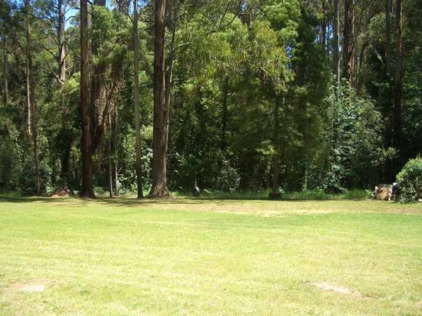 A PRESTIGIOUS ACRE VACANCY Picture 1