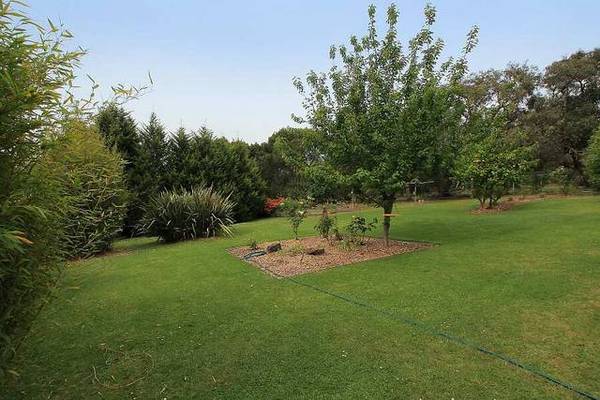 LIVE THE DREAM Picture