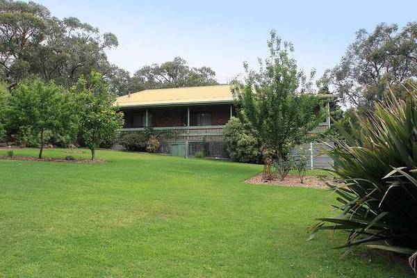 LIVE THE DREAM Picture