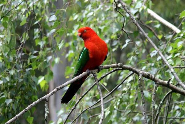 PEACEFULLY PRIVATE Picture 3