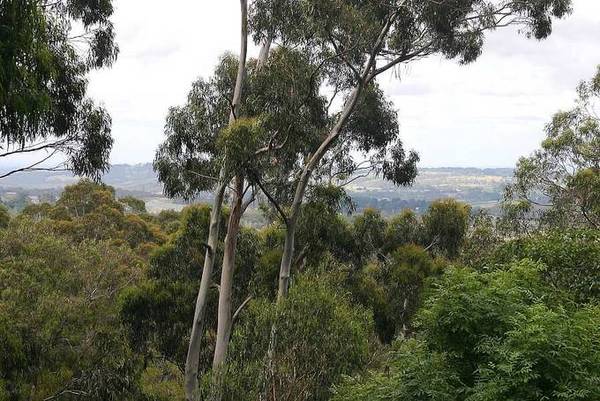 PEACEFULLY PRIVATE Picture 1