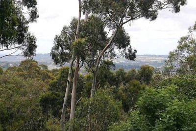 PEACEFULLY PRIVATE Picture