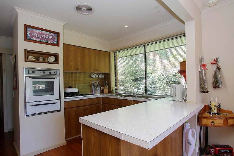 MAKE A STYLISH DEBUT Picture