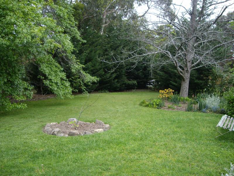 ARE YOU A VISIONARY BUYER? Picture 3