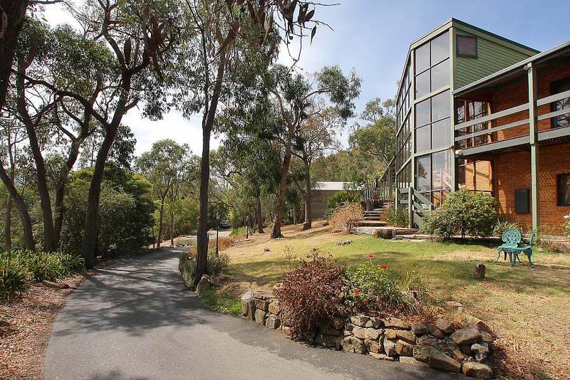 DESIGNER ELEGANCE Picture 2