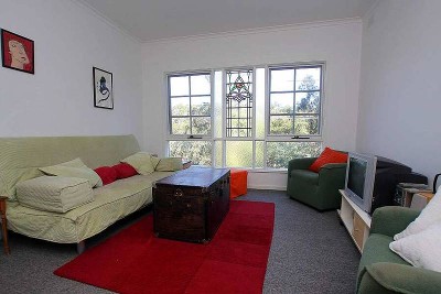 THE PERFECT STARTER Picture