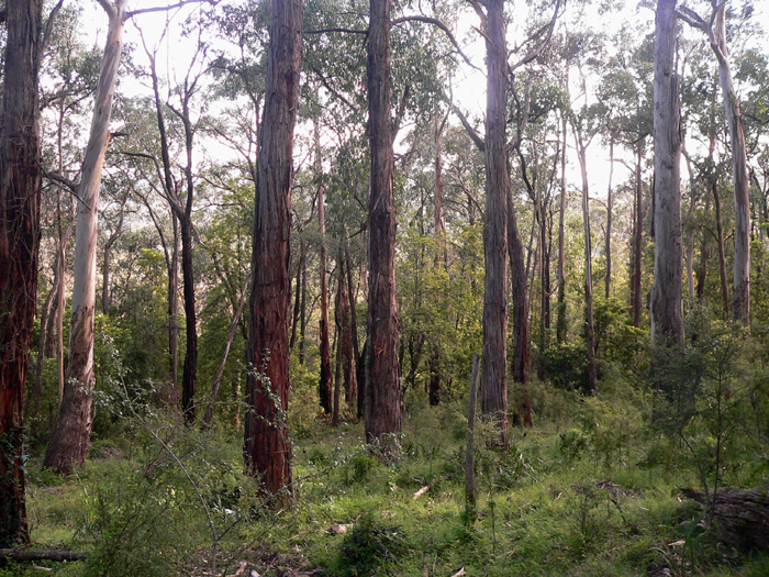 NEIGHBOURS....WHAT NEIGHBOURS? Picture 1