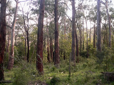 NEIGHBOURS....WHAT NEIGHBOURS? Picture