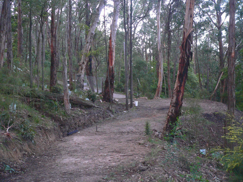 NEIGHBOURS....WHAT NEIGHBOURS? Picture 3