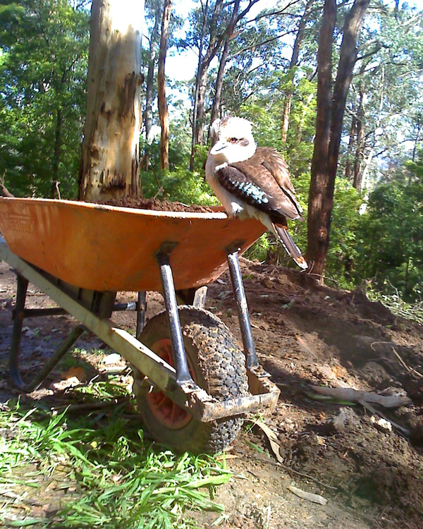 NEIGHBOURS....WHAT NEIGHBOURS? Picture 2