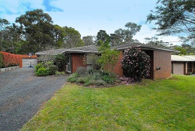 WHERE THE LIVING IS EASY Picture