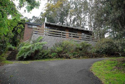 THE PERFECT STARTER! Picture THE PERFECT STARTER! Picture