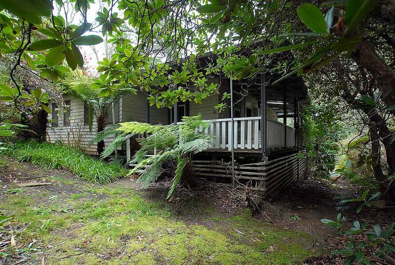 ONCE IN A LIFETIME Picture 3