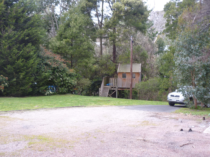 OPTIONS ABOUND.... Picture 3