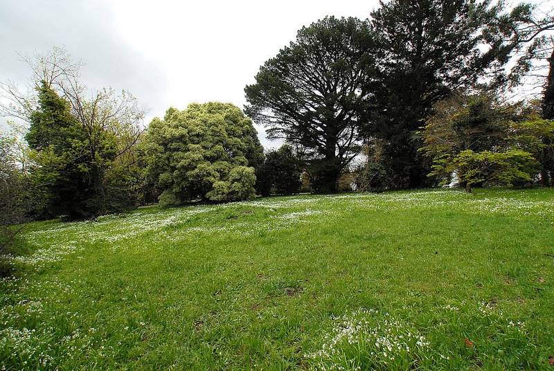 PRESTIGIOUS ACREAGE IN A PREMIER POSITION Picture 3