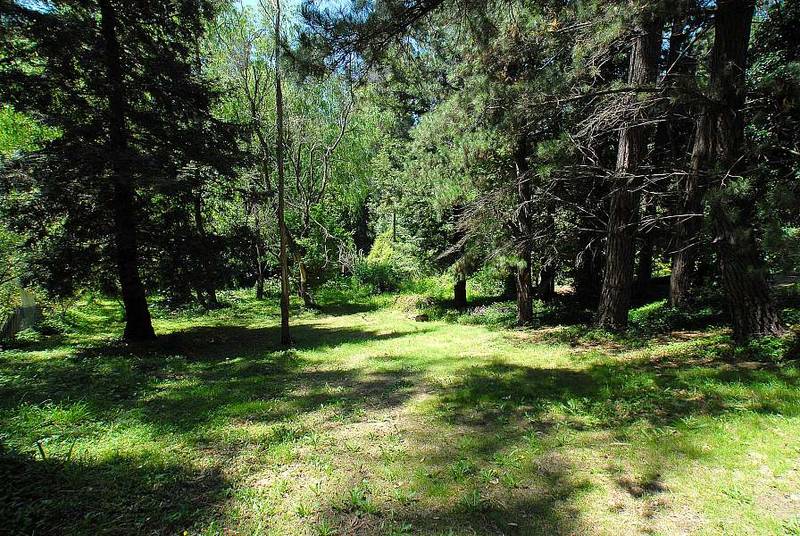 Just The Home You're After! Picture 3